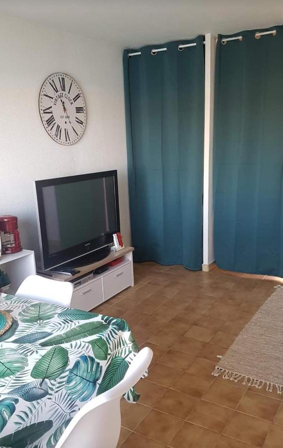 Apartment Bord De Et Pieds Dans L'eau Saint-Cyprien (Pyrenees-Orientales)